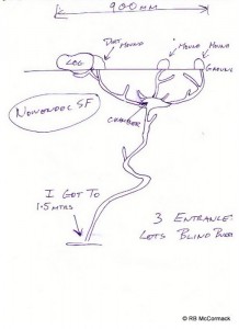 Typical burrow system sketch