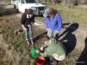 Felicity Sturgiss, ShellyAlderman and David Crass checking yabby traps Upper Shoalhaven Catchment