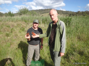 Craig and Ian with Euastacus Clarkae in Werrikimbe National Park