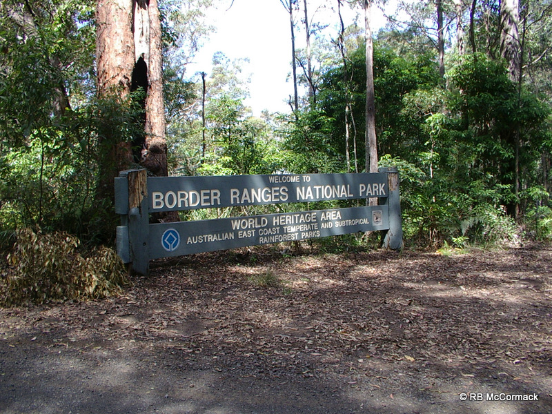 Border Ranges National Park, NSW