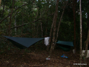 Hammock camping in the forest